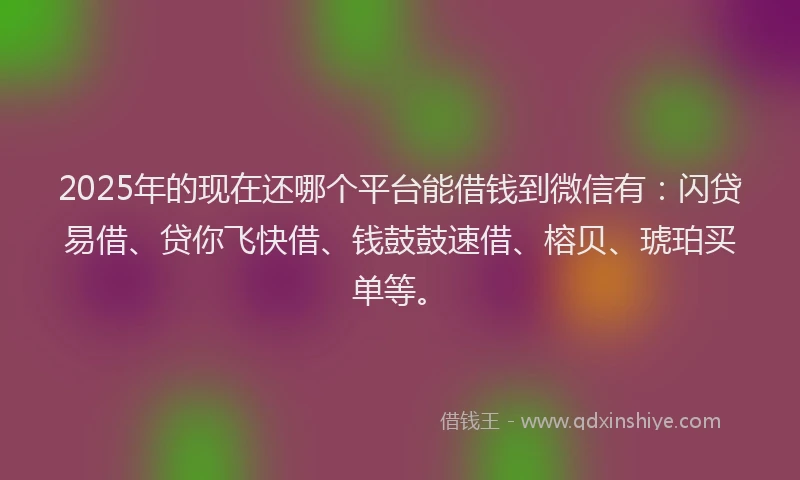 2025年的现在还哪个平台能借钱到微信有：闪贷易借、贷你飞快借、钱鼓鼓速借、榕贝、琥珀买单等。