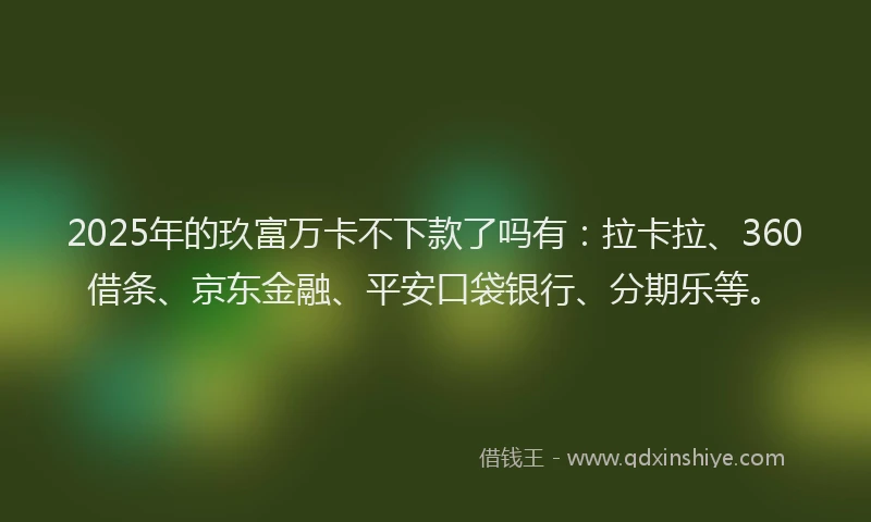 2025年的玖富万卡不下款了吗有：拉卡拉、360借条、京东金融、平安口袋银行、分期乐等。