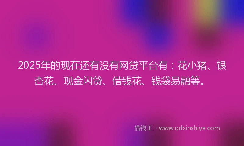 2025年的现在还有没有网贷平台有：花小猪、银杏花、现金闪贷、借钱花、钱袋易融等。