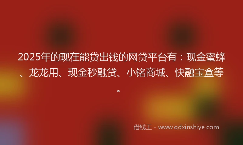2025年的现在能贷出钱的网贷平台有：现金蜜蜂、龙龙用、现金秒融贷、小铭商城、快融宝盒等。
