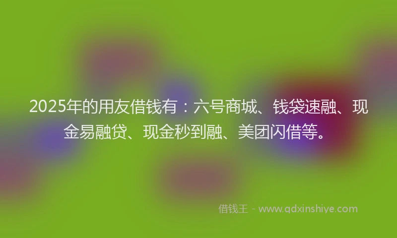 2025年的用友借钱有：六号商城、钱袋速融、现金易融贷、现金秒到融、美团闪借等。