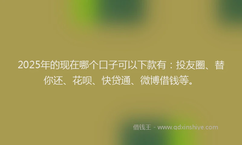 2025年的现在哪个口子可以下款有：投友圈、替你还、花呗、快贷通、微博借钱等。