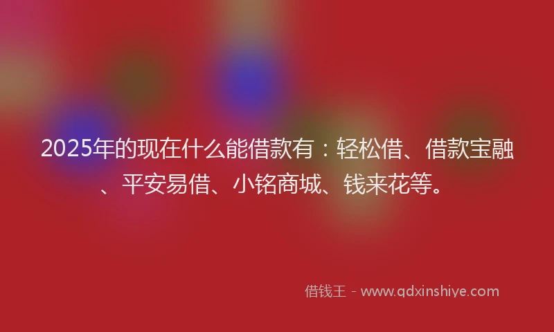 2025年的现在什么能借款有：轻松借、借款宝融、平安易借、小铭商城、钱来花等。