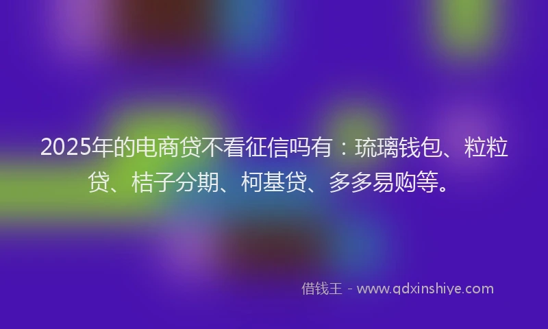 2025年的电商贷不看征信吗有：琉璃钱包、粒粒贷、桔子分期、柯基贷、多多易购等。