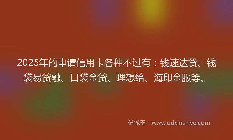 2025年的申请信用卡各种不过有：钱速达贷、钱袋易贷融、口袋金贷、理想给、海印金服等。