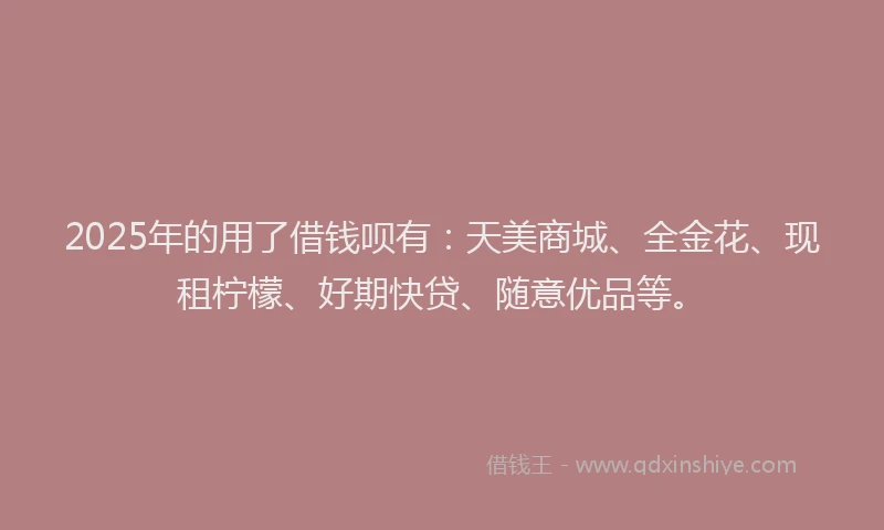 2025年的用了借钱呗有：天美商城、全金花、现租柠檬、好期快贷、随意优品等。