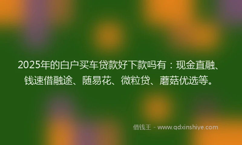 2025年的白户买车贷款好下款吗有：现金直融、钱速借融途、随易花、微粒贷、蘑菇优选等。