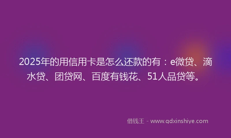 2025年的用信用卡是怎么还款的有：e微贷、滴水贷、团贷网、百度有钱花、51人品贷等。