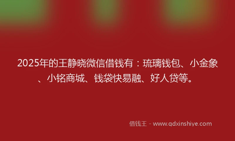 2025年的王静晓微信借钱有：琉璃钱包、小金象、小铭商城、钱袋快易融、好人贷等。