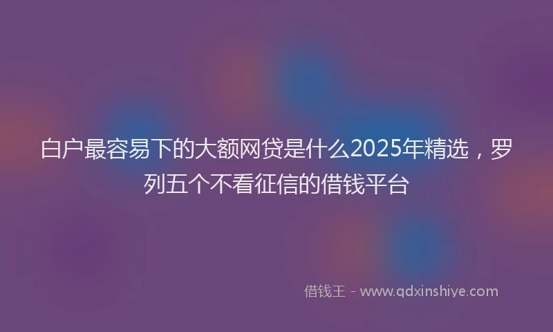 白户最容易下的大额网贷是什么2025年精选，罗列五个不看征信的借钱平台