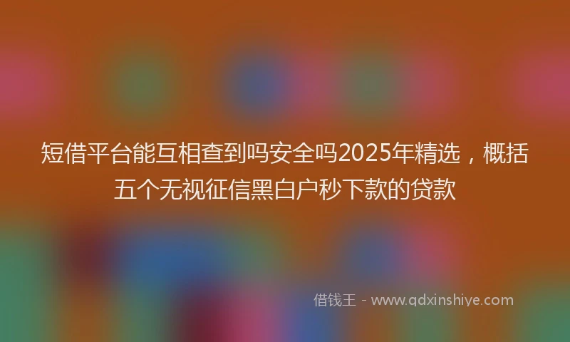 短借平台能互相查到吗安全吗2025年精选，概括五个无视征信黑白户秒下款的贷款