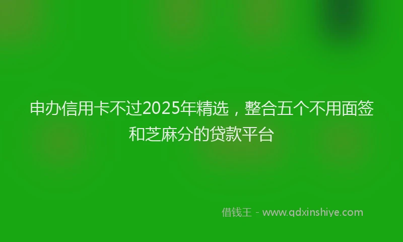 申办信用卡不过2025年精选，整合五个不用面签和芝麻分的贷款平台
