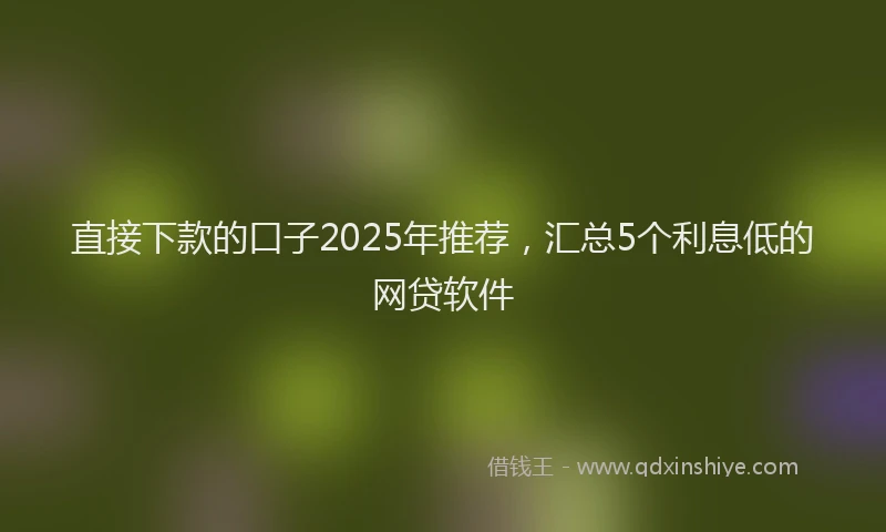 直接下款的口子2025年推荐，汇总5个利息低的网贷软件