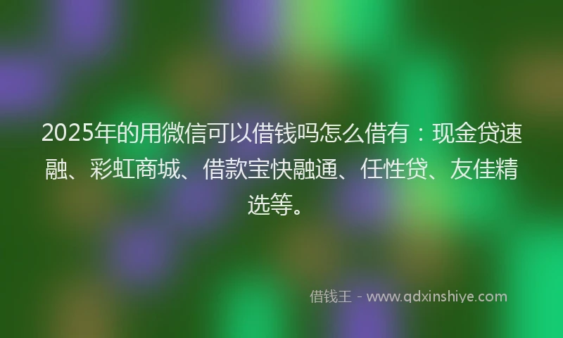 2025年的用微信可以借钱吗怎么借有：现金贷速融、彩虹商城、借款宝快融通、任性贷、友佳精选等。