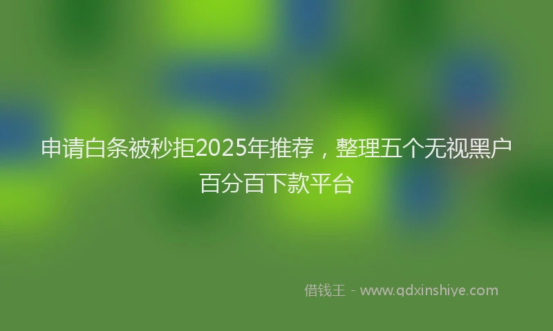 申请白条被秒拒2025年推荐，整理五个无视黑户百分百下款平台