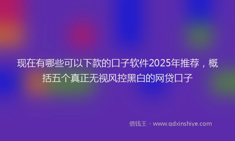 现在有哪些可以下款的口子软件2025年推荐，概括五个真正无视风控黑白的网贷口子