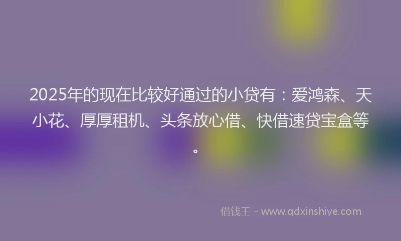 2025年的现在比较好通过的小贷有：爱鸿森、天小花、厚厚租机、头条放心借、快借速贷宝盒等。
