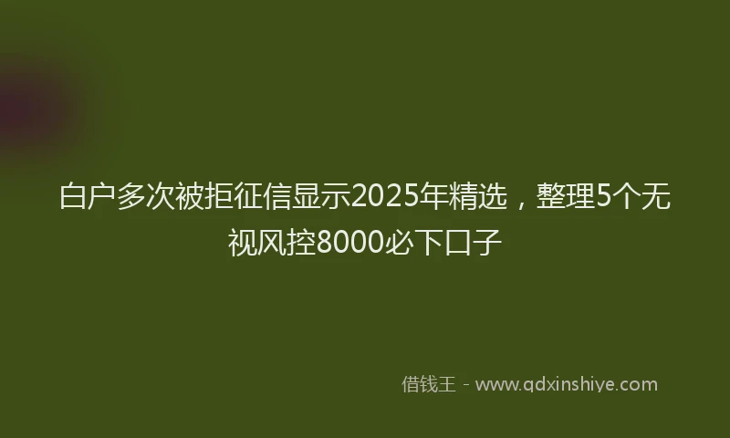 白户多次被拒征信显示2025年精选，整理5个无视风控8000必下口子
