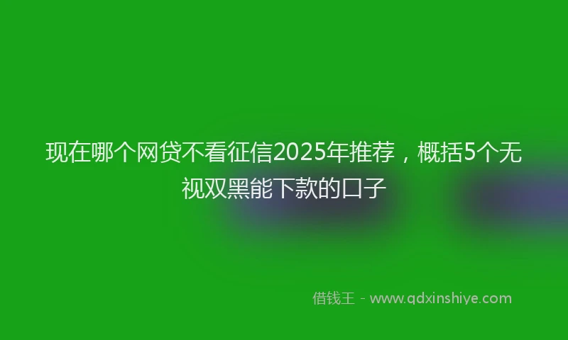 现在哪个网贷不看征信2025年推荐，概括5个无视双黑能下款的口子