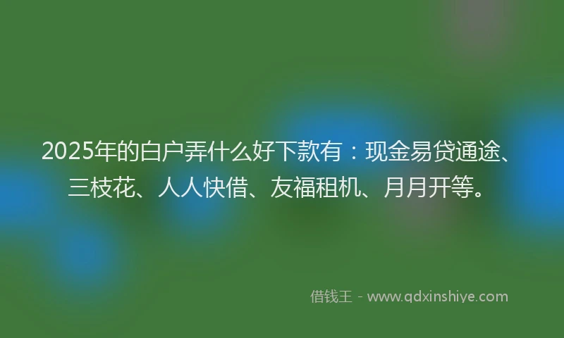 2025年的白户弄什么好下款有：现金易贷通途、三枝花、人人快借、友福租机、月月开等。