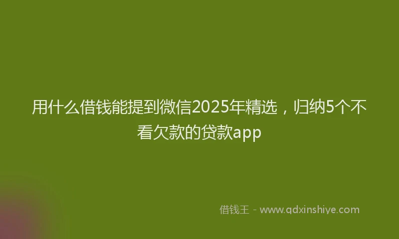 用什么借钱能提到微信2025年精选，归纳5个不看欠款的贷款app