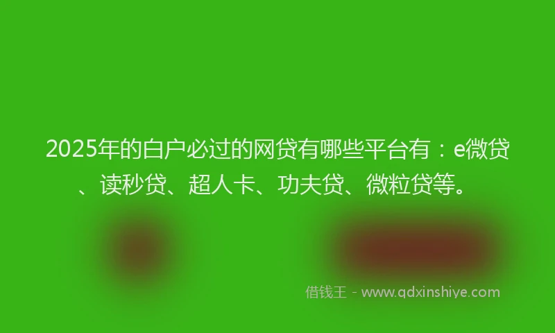 2025年的白户必过的网贷有哪些平台有：e微贷、读秒贷、超人卡、功夫贷、微粒贷等。