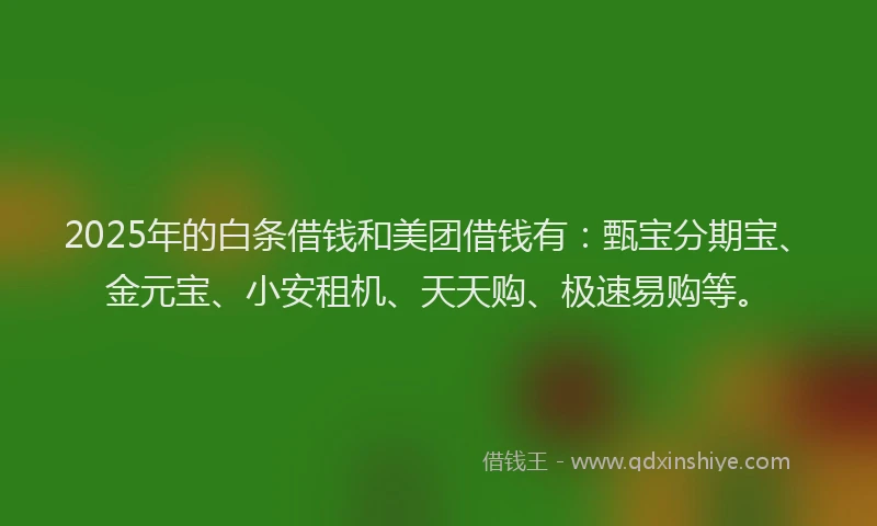 2025年的白条借钱和美团借钱有：甄宝分期宝、金元宝、小安租机、天天购、极速易购等。