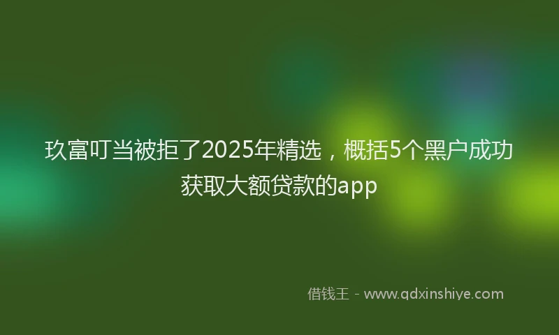 玖富叮当被拒了2025年精选，概括5个黑户成功获取大额贷款的app
