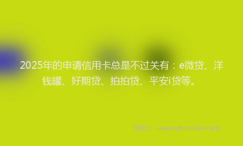 2025年的申请信用卡总是不过关有：e微贷、洋钱罐、好期贷、拍拍贷、平安i贷等。