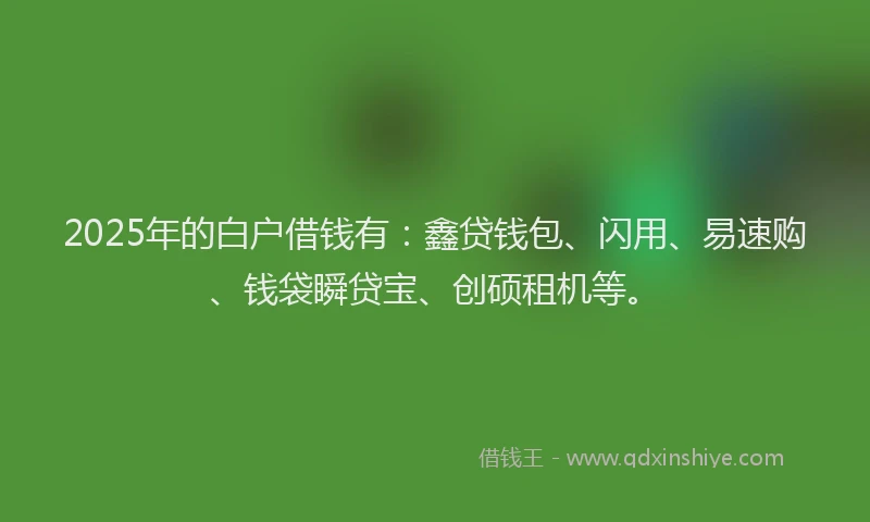 2025年的白户借钱有：鑫贷钱包、闪用、易速购、钱袋瞬贷宝、创硕租机等。