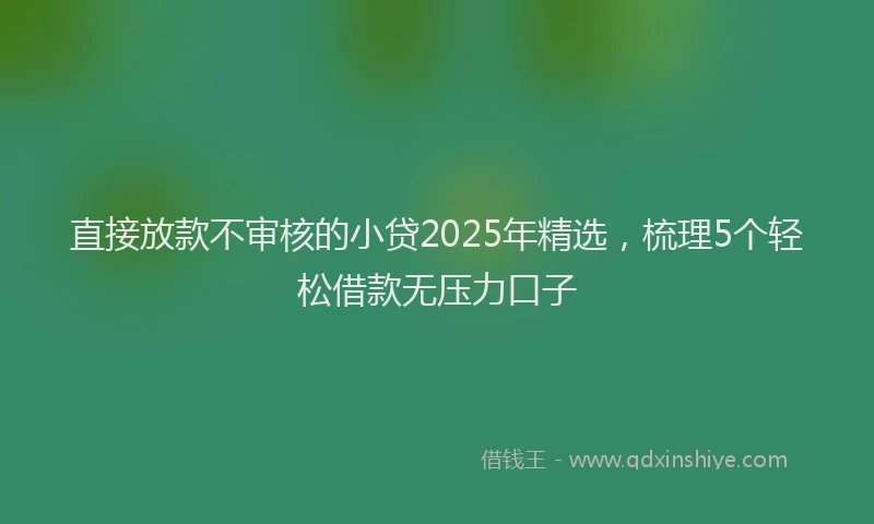直接放款不审核的小贷2025年精选，梳理5个轻松借款无压力口子