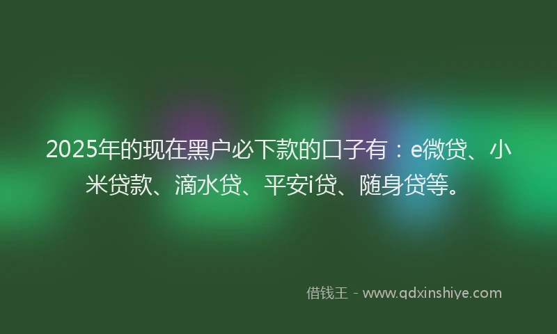 2025年的现在黑户必下款的口子有：e微贷、小米贷款、滴水贷、平安i贷、随身贷等。
