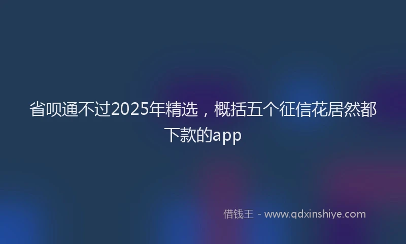 省呗通不过2025年精选，概括五个征信花居然都下款的app