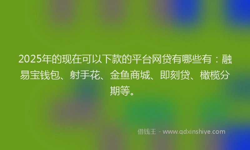 2025年的现在可以下款的平台网贷有哪些有：融易宝钱包、射手花、金鱼商城、即刻贷、橄榄分期等。