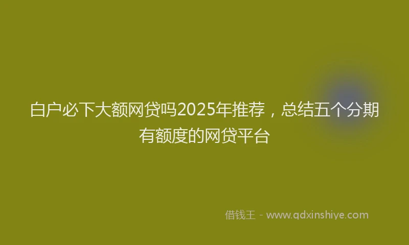 白户必下大额网贷吗2025年推荐，总结五个分期有额度的网贷平台