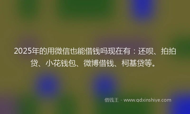 2025年的用微信也能借钱吗现在有：还呗、拍拍贷、小花钱包、微博借钱、柯基贷等。