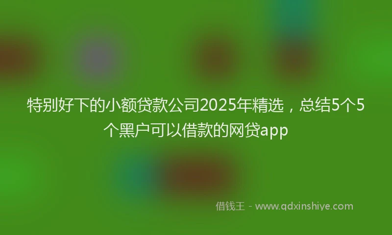 特别好下的小额贷款公司2025年精选，总结5个5个黑户可以借款的网贷app