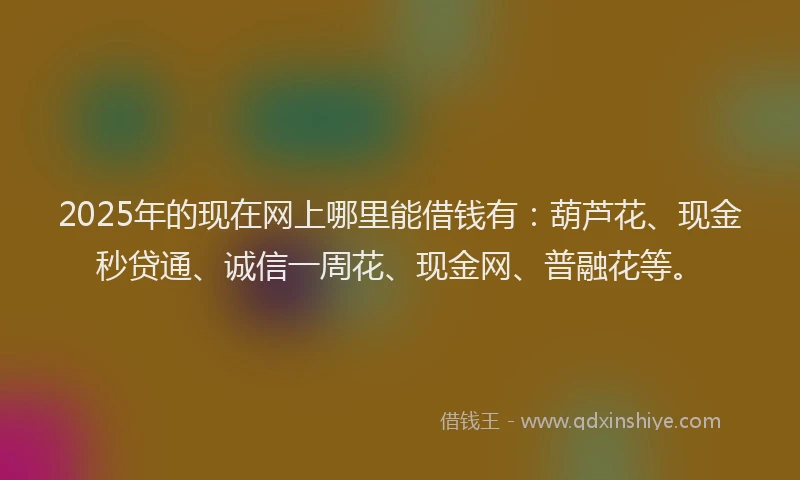 2025年的现在网上哪里能借钱有：葫芦花、现金秒贷通、诚信一周花、现金网、普融花等。