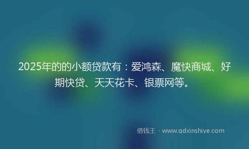 2025年的的小额贷款有：爱鸿森、魔快商城、好期快贷、天天花卡、银票网等。