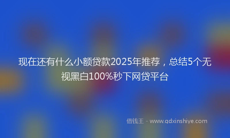 现在还有什么小额贷款2025年推荐，总结5个无视黑白100%秒下网贷平台