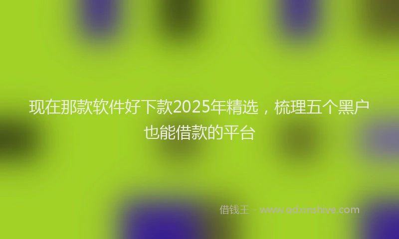 现在那款软件好下款2025年精选，梳理五个黑户也能借款的平台