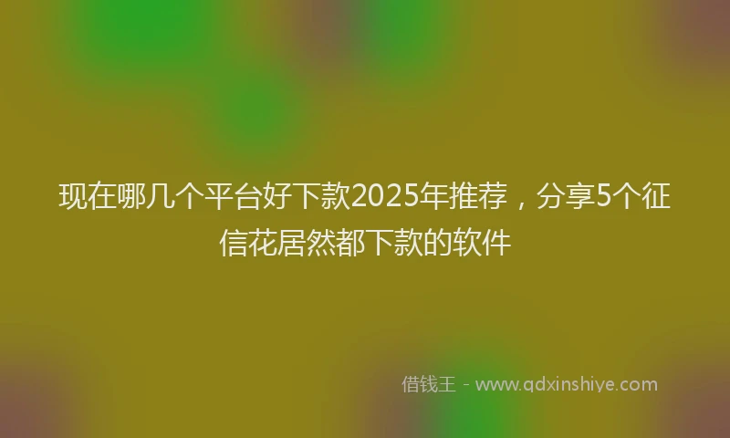 现在哪几个平台好下款2025年推荐，分享5个征信花居然都下款的软件