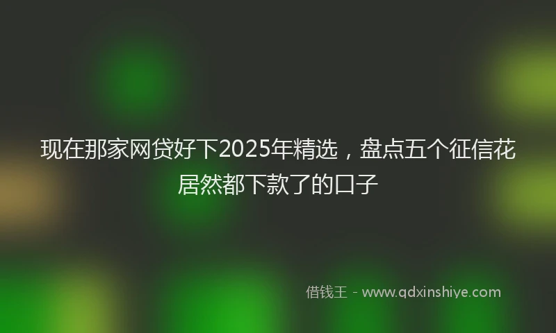 现在那家网贷好下2025年精选，盘点五个征信花居然都下款了的口子