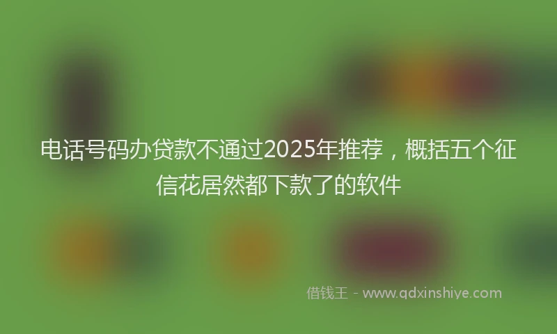 电话号码办贷款不通过2025年推荐，概括五个征信花居然都下款了的软件