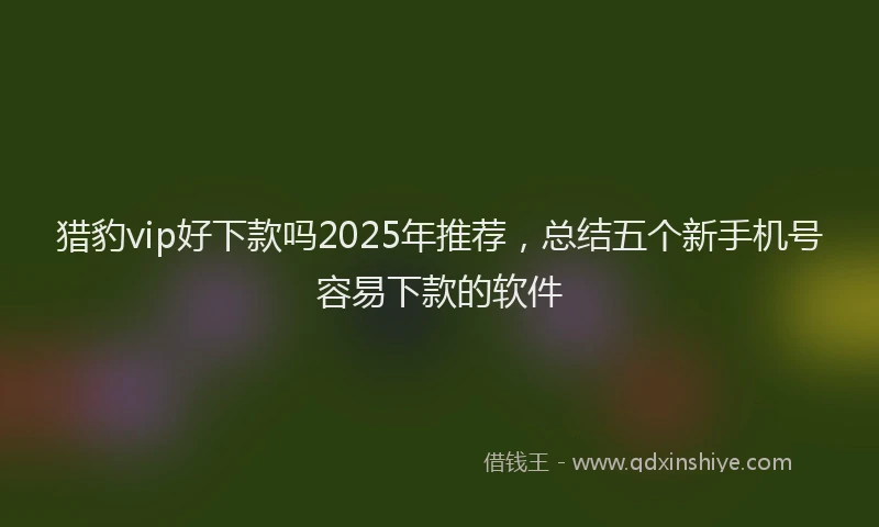 猎豹vip好下款吗2025年推荐，总结五个新手机号容易下款的软件