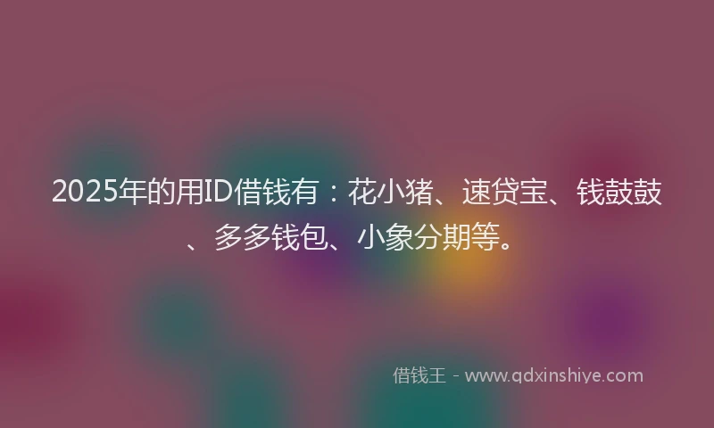 2025年的用ID借钱有：花小猪、速贷宝、钱鼓鼓、多多钱包、小象分期等。