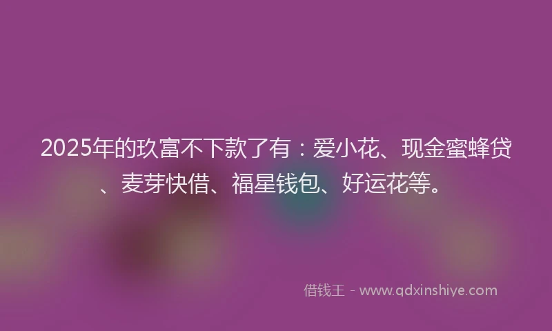 2025年的玖富不下款了有：爱小花、现金蜜蜂贷、麦芽快借、福星钱包、好运花等。