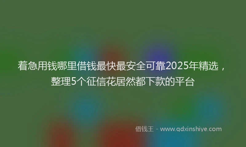 着急用钱哪里借钱最快最安全可靠2025年精选，整理5个征信花居然都下款的平台