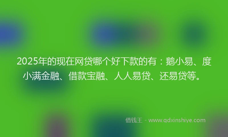 2025年的现在网贷哪个好下款的有：鹅小易、度小满金融、借款宝融、人人易贷、还易贷等。