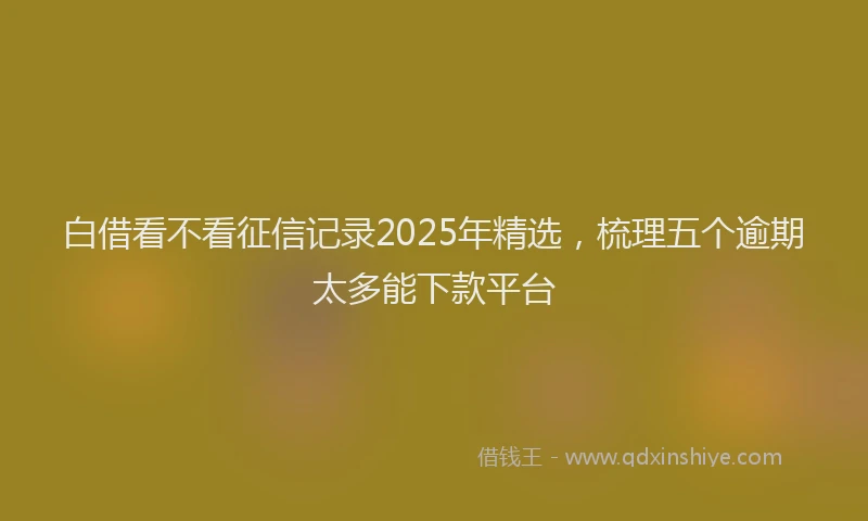 白借看不看征信记录2025年精选，梳理五个逾期太多能下款平台